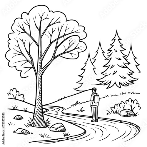Person standing on a winding path in a natural landscape with trees and rocks