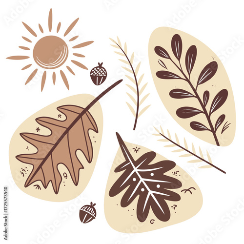 Boho autumn leaves and sun illustration