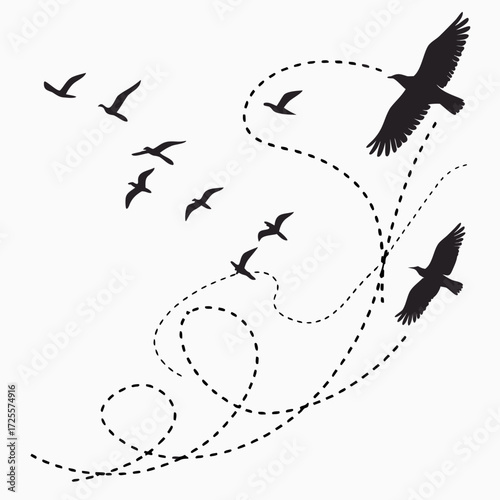 Silhouette birds flying with dashed flight paths