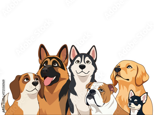 group of dogs looking up background banner different dog breeds