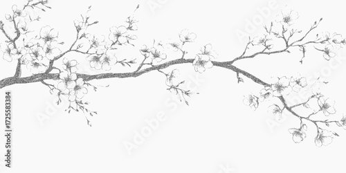 Cherry blossom branch. Grainy form with rough threshold edges and faded ink splatter marks. Subtle dust texture and distressed paper overlay.