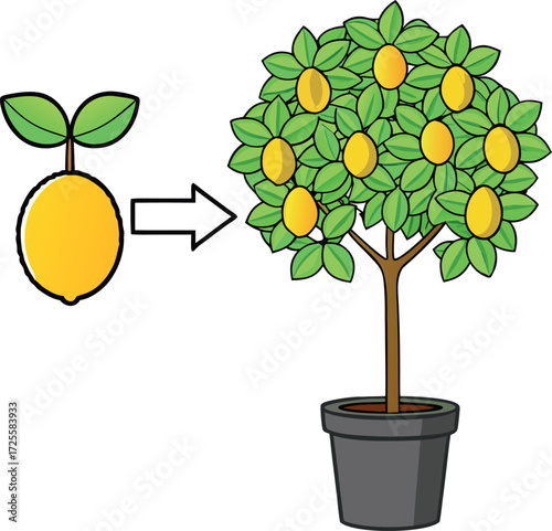 Vector illustration of a small potted tree with leaves and flowers for houseplant or garden decoration