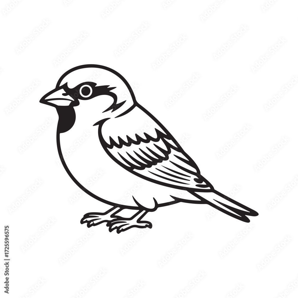 Fototapeta premium Black and white line drawing of a perched sparrow