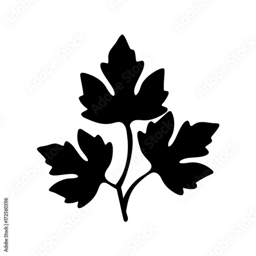 Black Silhouette Illustration of Parsley Leaves on White Background, Vector Design