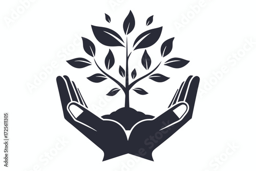 Gentle hands tenderly cradle a young leafy plant growing from the soil upwards