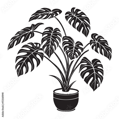 A lush monstera plant in a pot, showcasing its iconic split leaves, isolated on white background, bringing a touch of nature and tropical vibes to any space