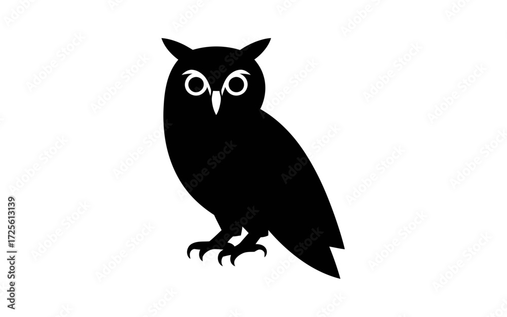 Fototapeta premium owl on white background