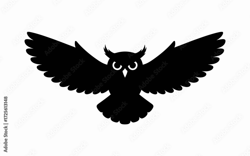 Obraz premium eagle with wings