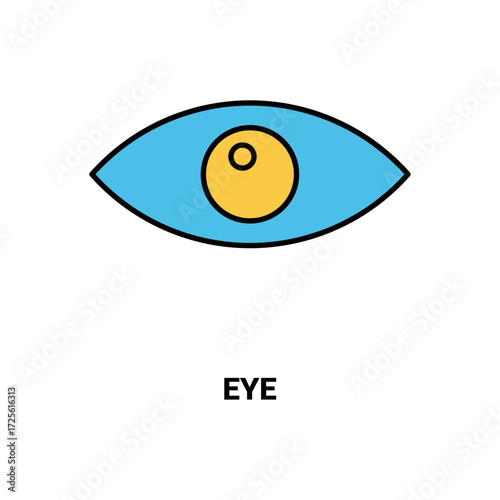 Vector illustration of a stylized human eye, a simple graphic icon for observation and perception concepts