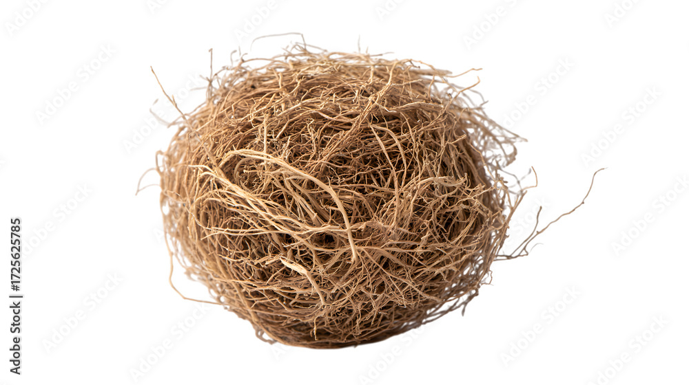 Obraz premium Close up of a dried loofah sponge against a black background