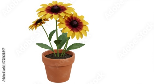 Yellow And Brown Flowers In Terracotta Pot