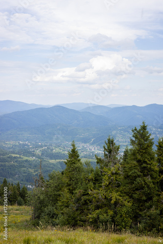 Carpathian landscape: trees in the foreground and mountains on the horizon