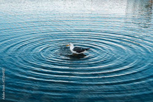 drop of water