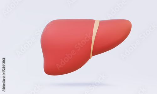 Human liver 3D vector icon medical anatomy education internal duct diagnosis Healthcare inflammation ache body system concept. on isolated pastel background. illustration elements 