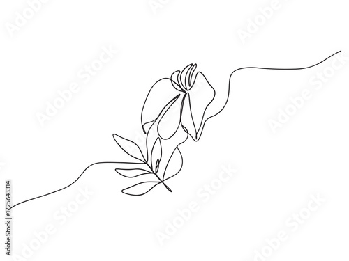 Elegant single line drawing of flower and leaves on white background