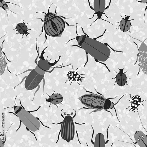 Vector - beetle animals seamless pattern.
