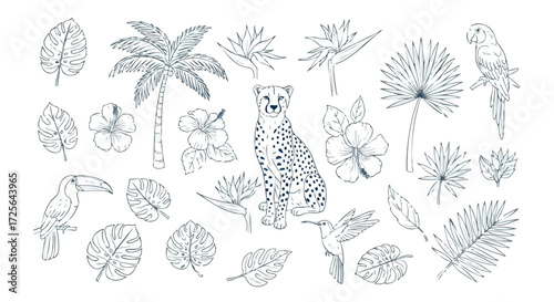 Charming tropical line art featuring cheetah, parrot, toucan, hummingbird, hibiscus, palm tree, monstera leaves for vibrant design projects and exotic themes