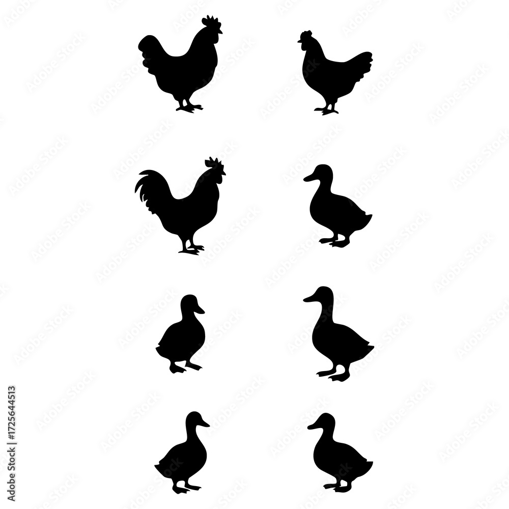 Obraz premium Silhouettes of Chickens and Ducks A Black and White Animal Icon Set for Design