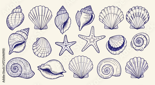 Captivating collection of hand drawn seashells and starfish in elegant blue ink on a textured cream background perfect for summer designs