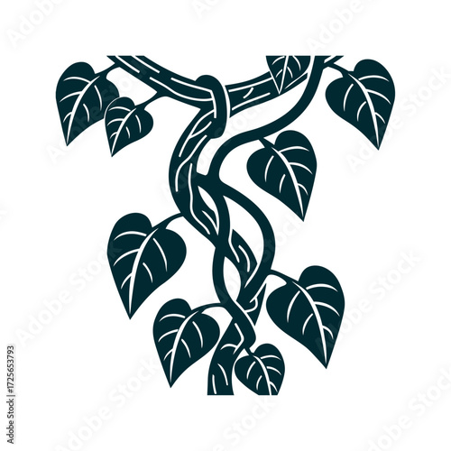 Ayahuasca Vine Illustration - Banisteriopsis caapi Amazonian Ayahuasca Vine twisting Banisteriopsis caapi vine with heart-shaped leaves