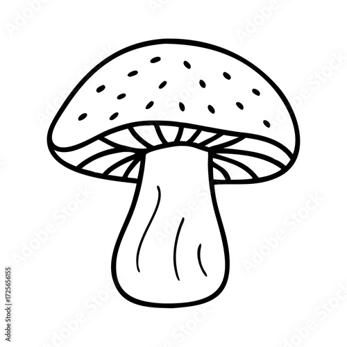 Mushroom line art style vector illustration