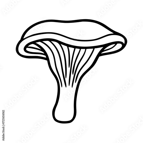 Mushroom line art style vector illustration