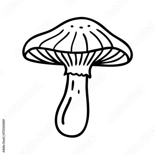 Mushroom line art style vector illustration
