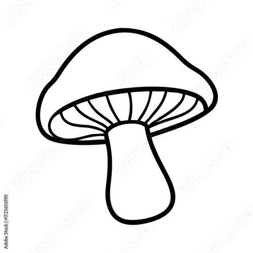 Mushroom line art style vector illustration