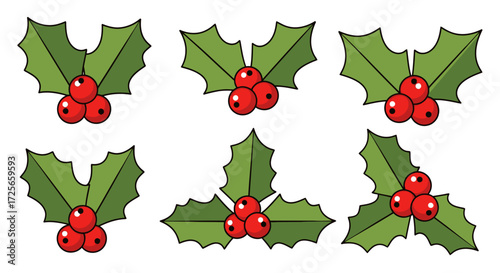 Delightful holly berry illustrations for seasonal projects adding warmth and charm to designs