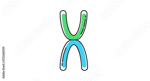 Stylized chromosome rendering for educational science purposes or graphic illustration