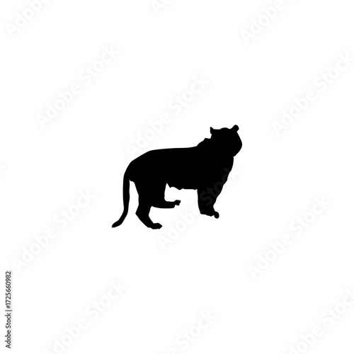 This clean, strong silhouette of a tiger provides a striking graphic image.