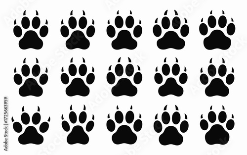animal paw prints