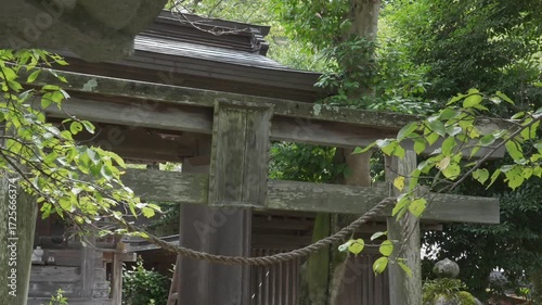 In the lush and verdant environment, the simple and unsophisticated wooden shrine architecture, paired with the naturally growing branches and leaves, fully exhibits a quiet Japanese style.