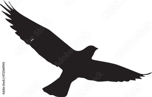 Silhouette of a soaring bird of prey with wings spread wide, captured in a dramatic black and white against a stark white background, evoking a sense of freedom and power