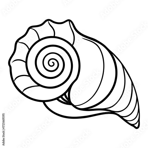 Stylized black and white illustration of a spiral seashell