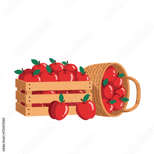 Abundant harvest of ripe red apples in a wooden crate and overturned basket.