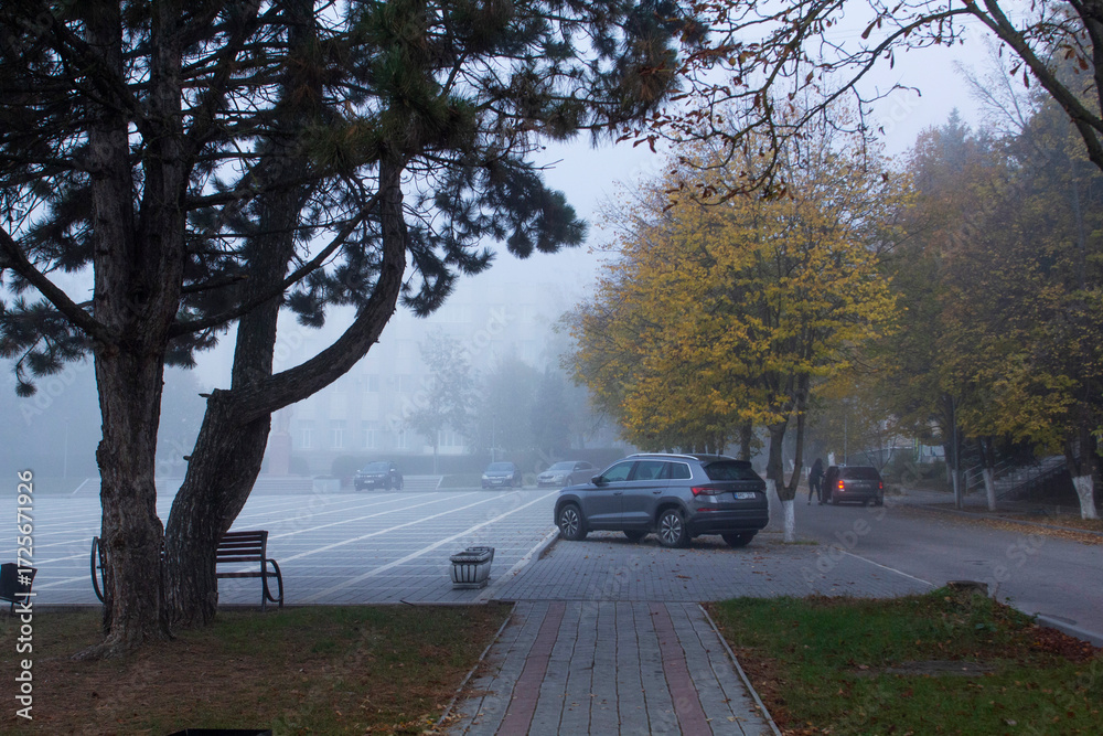 Obraz premium Autumn in Moldova, foggy landscape in the park. Thick fog early in the morning on the lake shore.