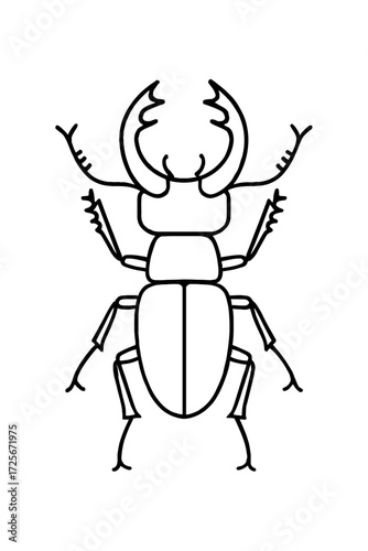 Stag Beetle Insect Outline Vector Icon - Simple Line Art Drawing