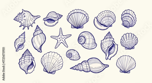 Charming collection of hand drawn seashell illustrations evokes seaside serenity and summer vacation dreams, perfect for coastal designs.