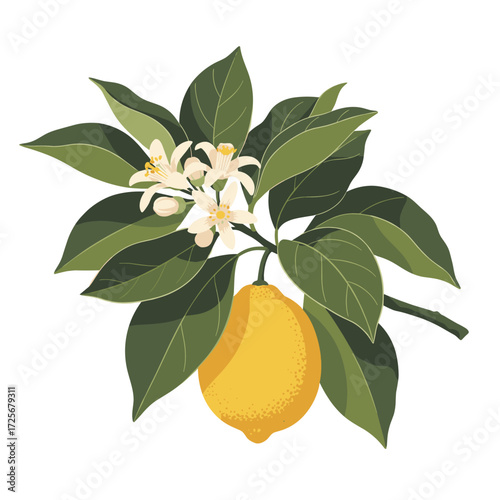 A vibrant illustration of a lemon branch adorned with fragrant blossoms and lush green foliage, showcasing the beauty of citrus.
