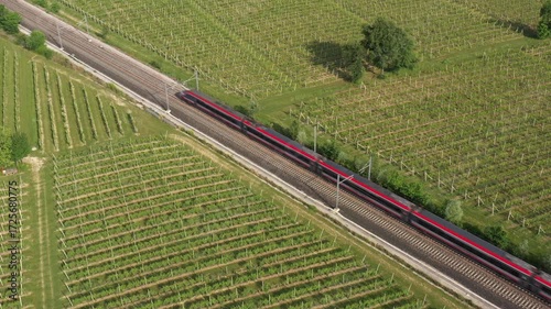 Wallpaper Mural The red high-speed train zooms through vineyard plantations, captured in a breathtaking aerial perspective. Speed meets landscape. Torontodigital.ca