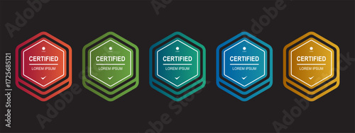Certificate badge hexagon template for company training. Vector editable