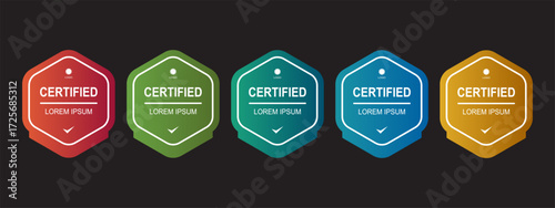 Certificate badge hexagon template for company training. Vector editable