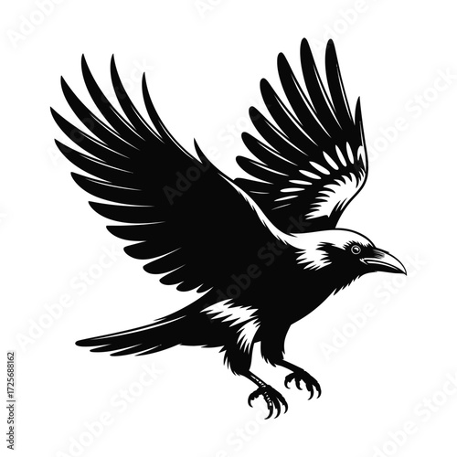 Dark flying crow silhouette vector