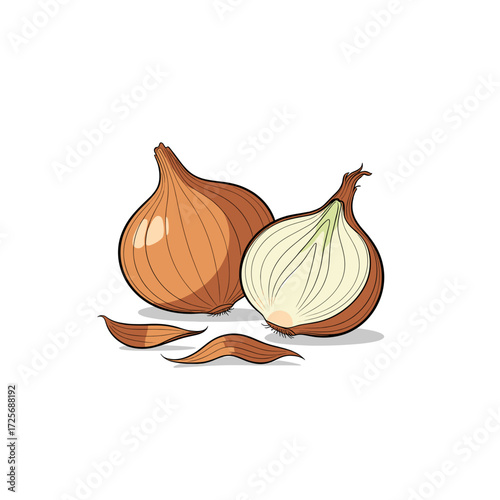 Whole and halved brown onion with loose dry peels