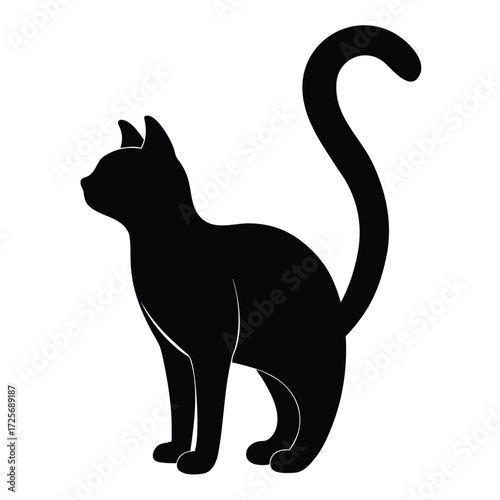 Silhouette of a black cat arching its back