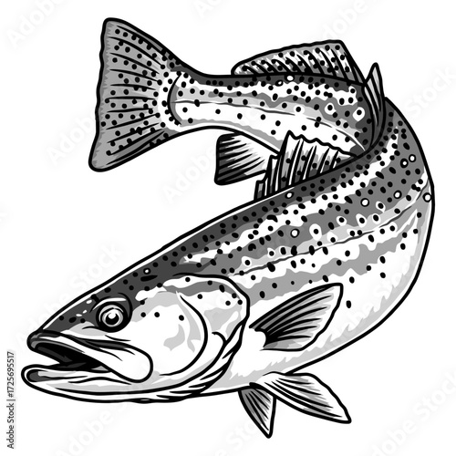 speckled trout fishing illustration logo vector image t shirt