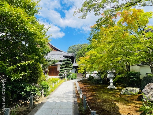 street in the Japanese temple