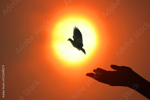 Silhouette of a bird flying across the glowing sunset, symbolizing freedom, peace, and the beauty of nature.
