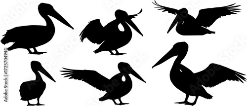 Pelican silhouette
